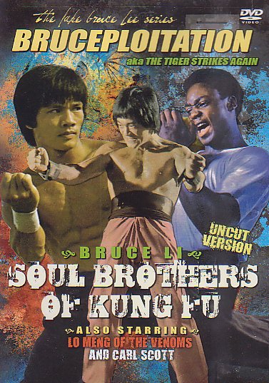 Soul Brothers of Kung Fu movie