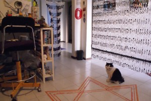 Her cat in the studio!