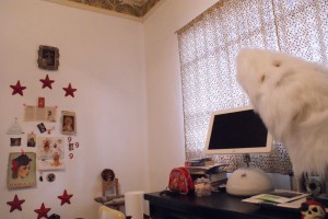 One of her walls in the studio