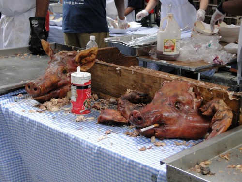 ed mitchell pig heads