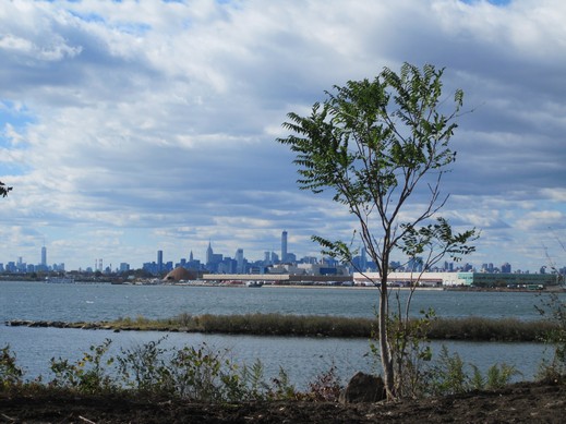 harding park zoom 519